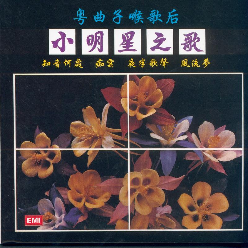 风流梦(二) - 小明星封面