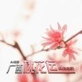 广西桃花运 (DJ版)封面