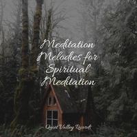 Meditation Melodies for Spiritual Meditation For Dogs