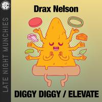 Diggy Diggy / Elevate