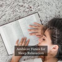 Ambient Tunes For Sleep Relaxation