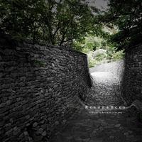 Resonances - tribute to bermei.inazawa -