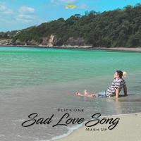 Sad Love Song (Mash Up)