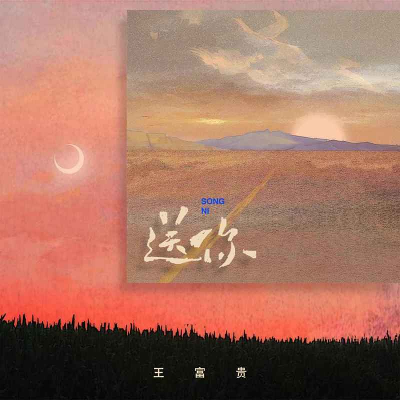 送你 (DJ小桐版)封面