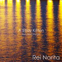 A Stray Kitten (feat. Nelson Rangell)