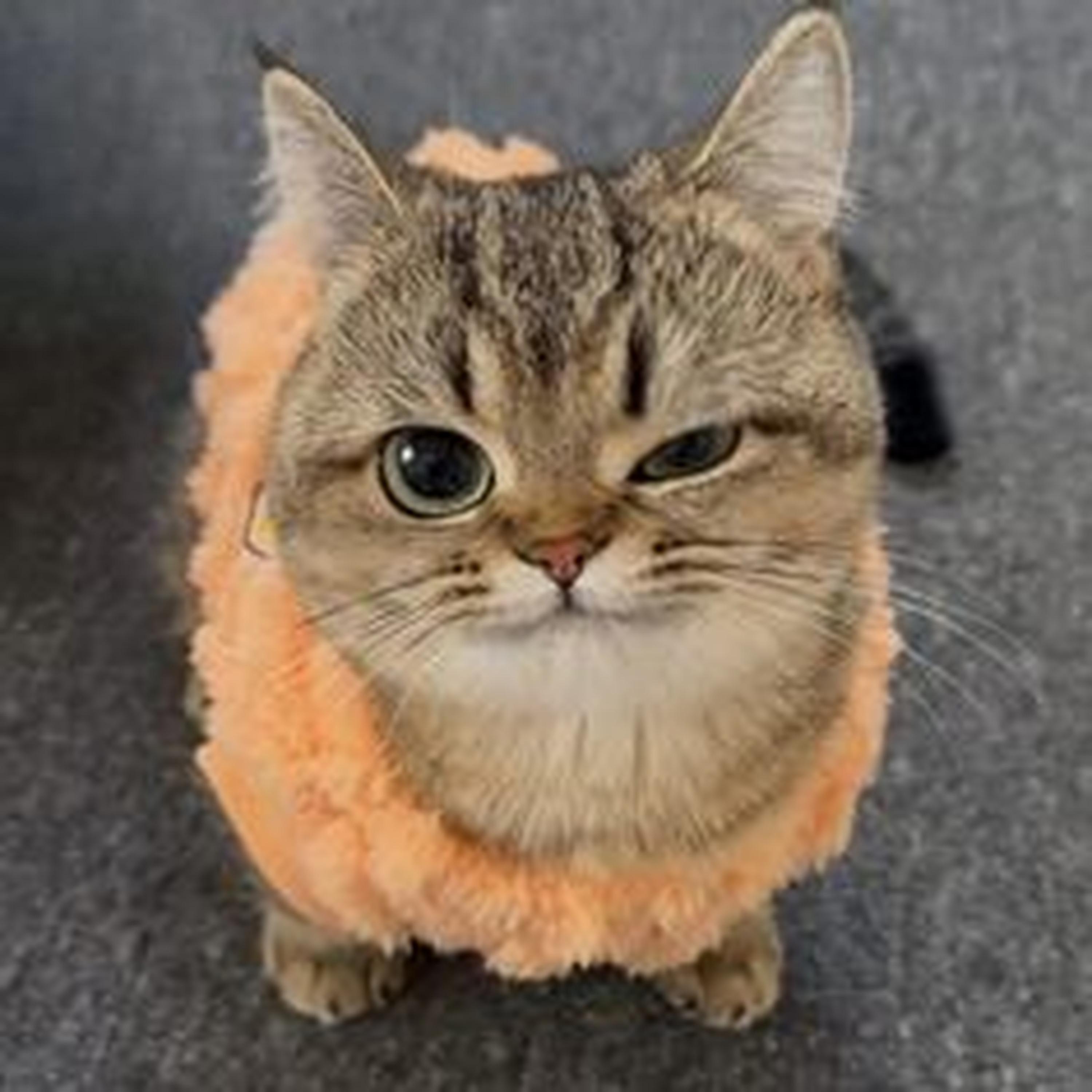 Messages From Stars (Speed up)