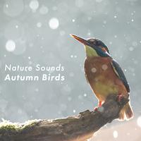 Nature Sounds: Autumn Birds