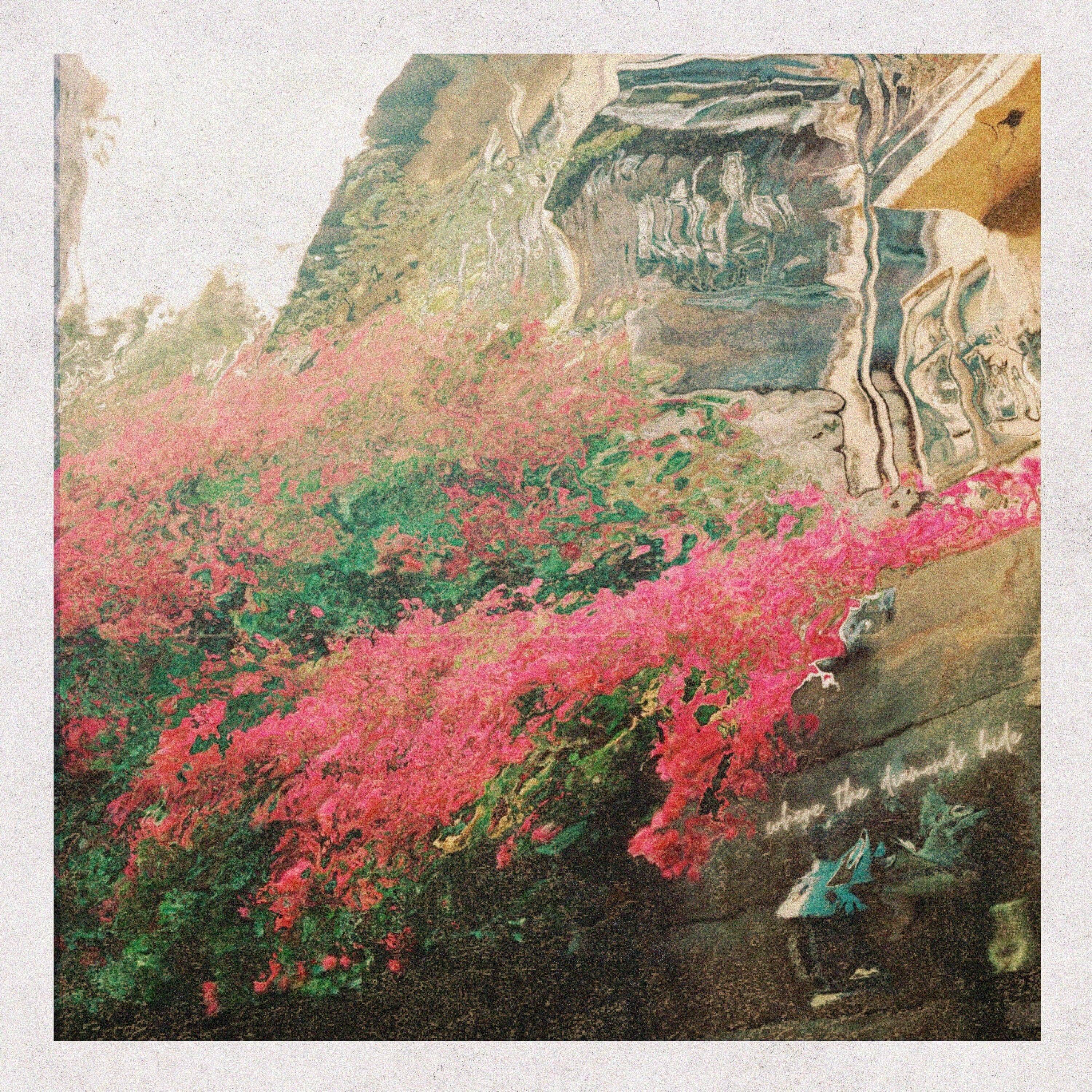 Where The Diamonds Hide (feat. The Rare Occasions)