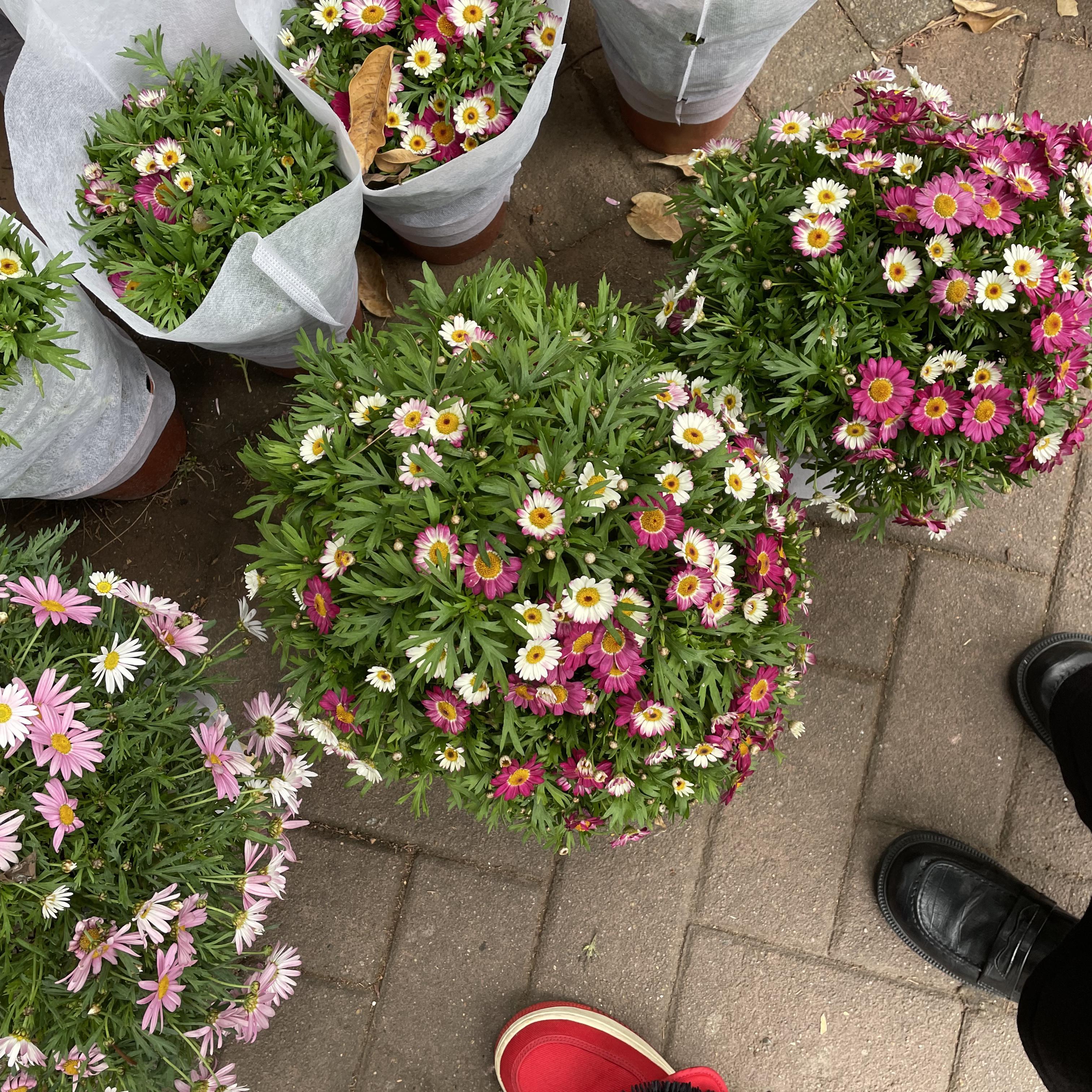 回家与自我审视歌曲