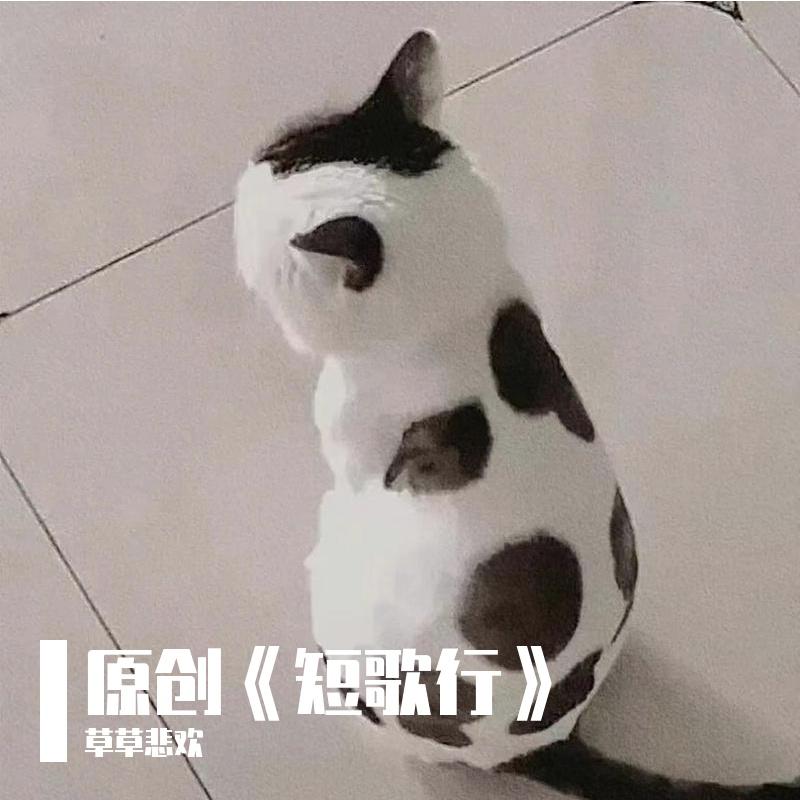 《要什么理由，爱就对了》 - 草草悲欢封面