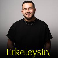 Erkeleysin