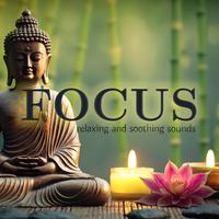 Focus (Relaxing and Soothing Sounds)