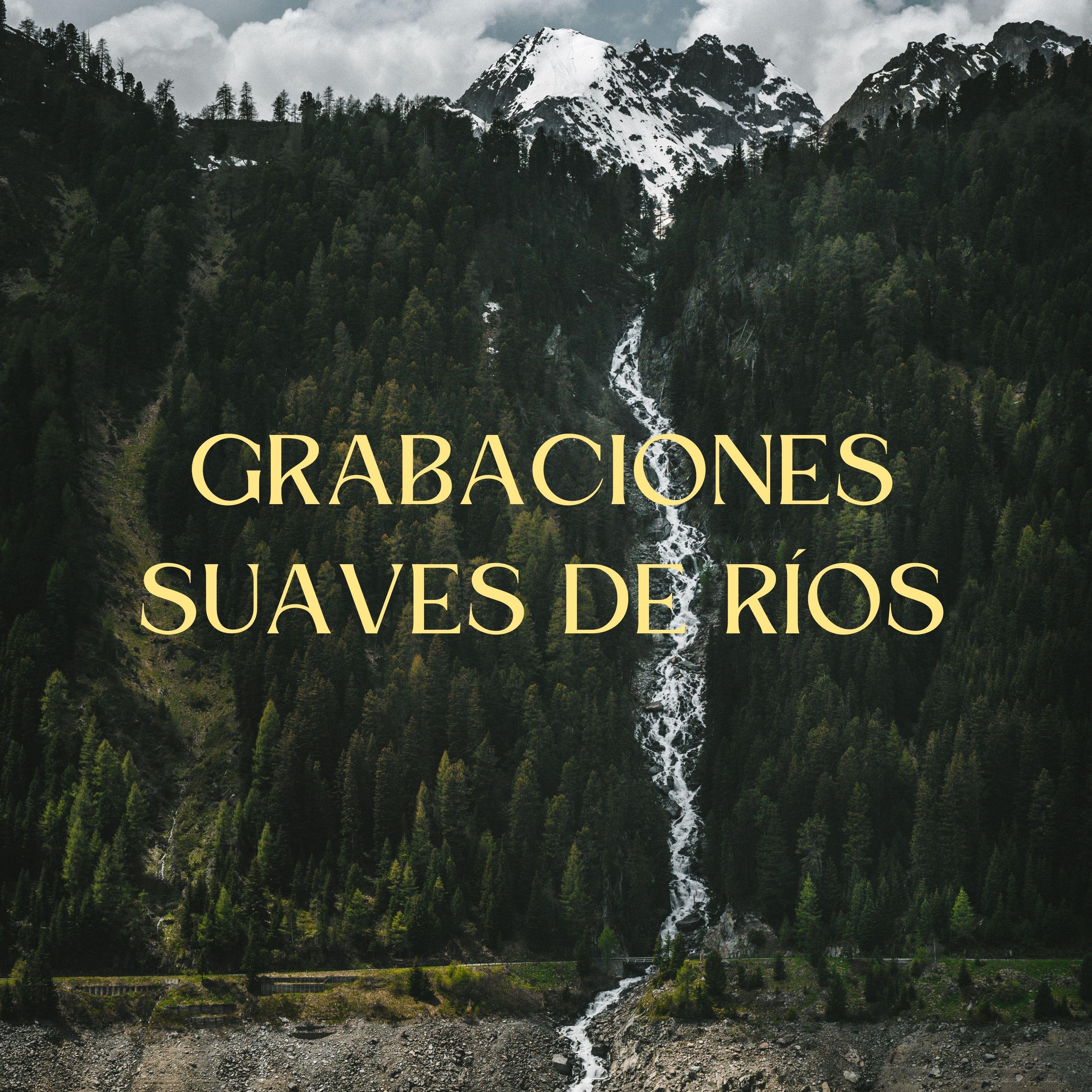 Ruido De Agua_Sonidos de agua y río_Grabaciones Suaves De Ríos | 在线播放_Ruido De Agua歌词_Ruido De Agua下载 | 网易云音乐
