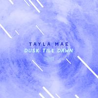 Dusk Till Dawn (The ShareSpace Australia 2017)