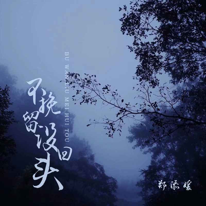 不挽留没回头 (DJ阿卓版伴奏)封面