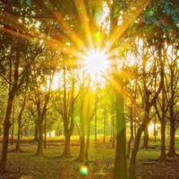 郭炳辉资料,郭炳辉最新歌曲,郭炳辉MV视频,郭炳辉音乐专辑,郭炳辉好听的歌