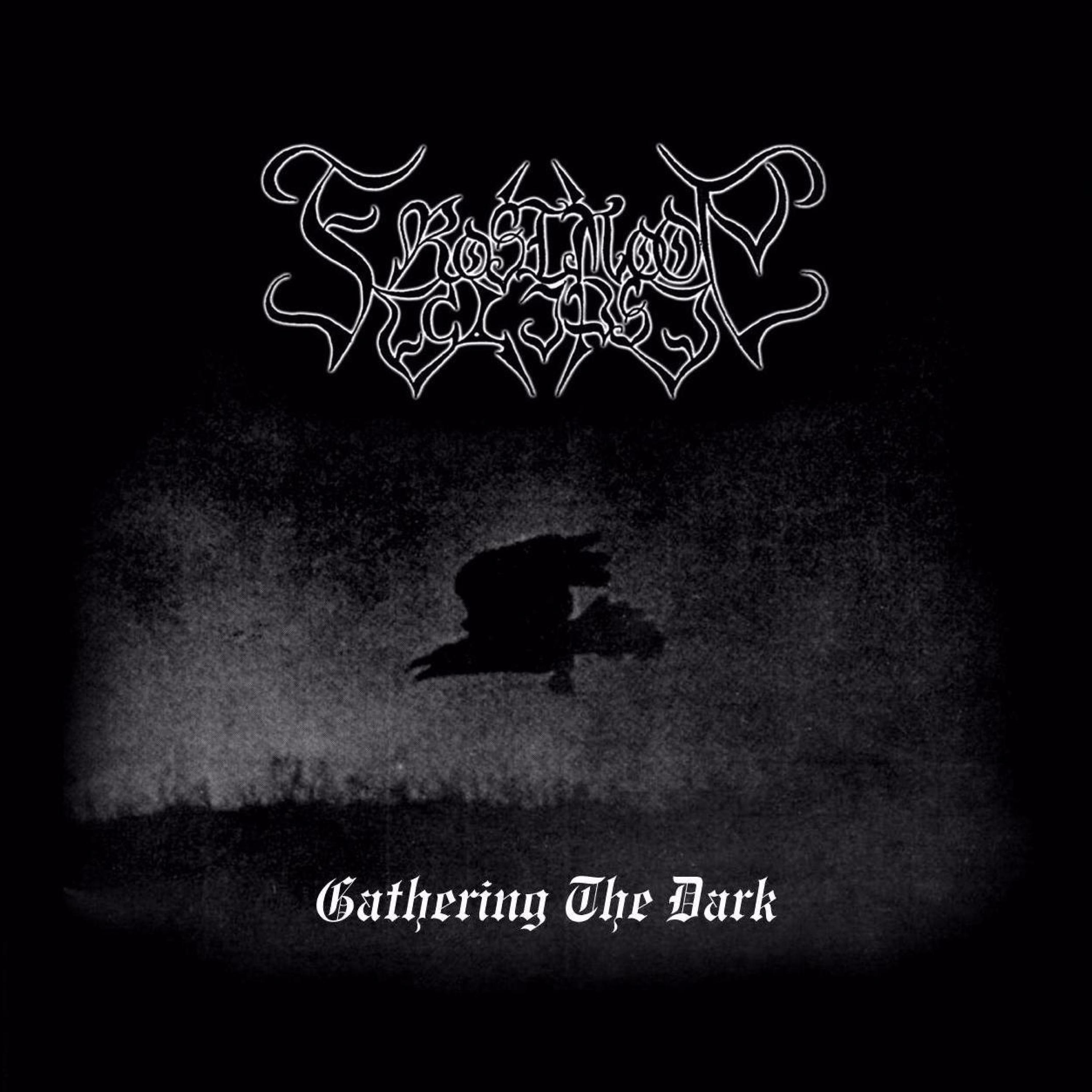 gathering the dark