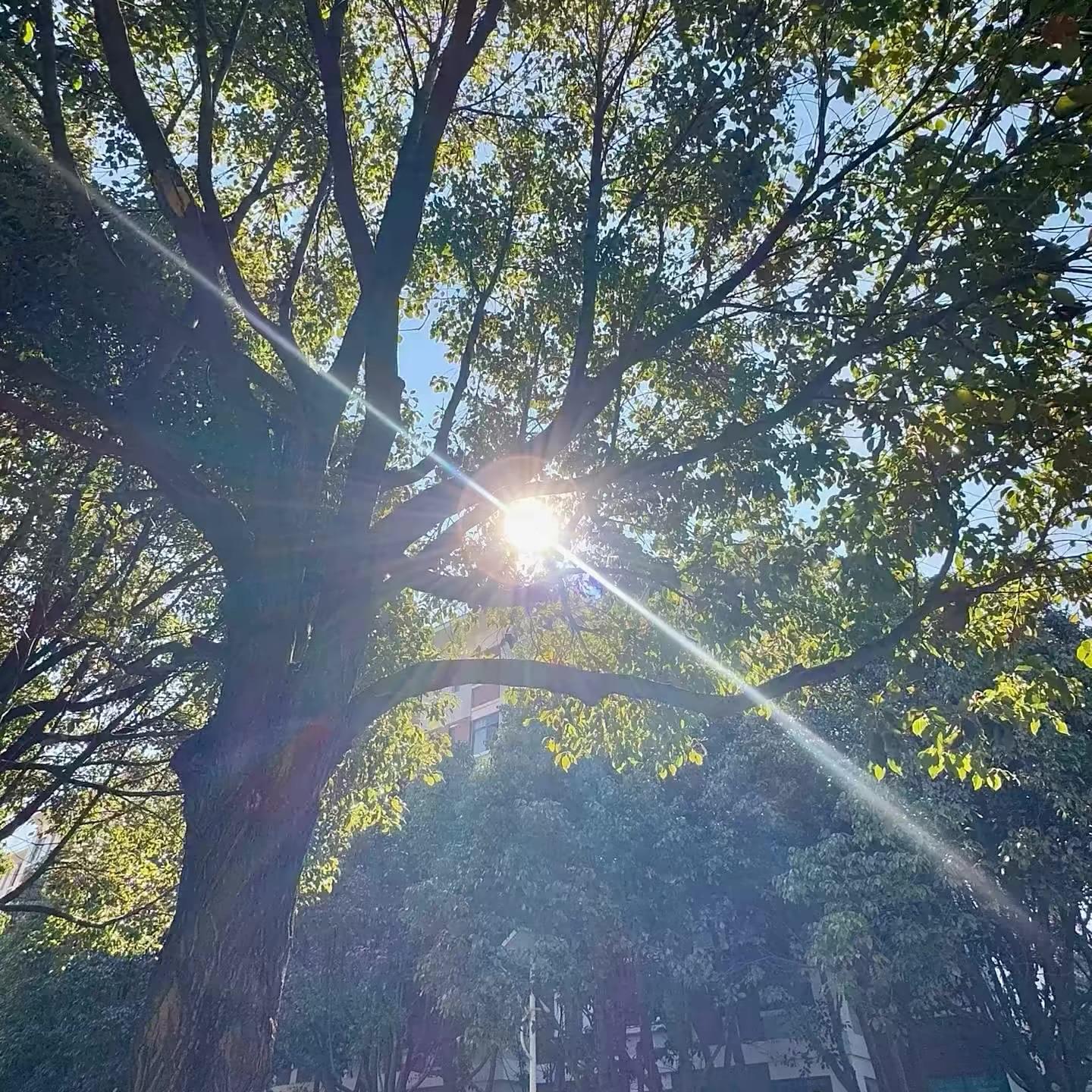 潮起封面