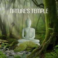 Nature's Temple: Haven of Tranquility and Meditation Inspired by the Natural World