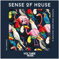 Sense Of House, Vol. 36