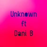 Unknown (feat. Dani B)