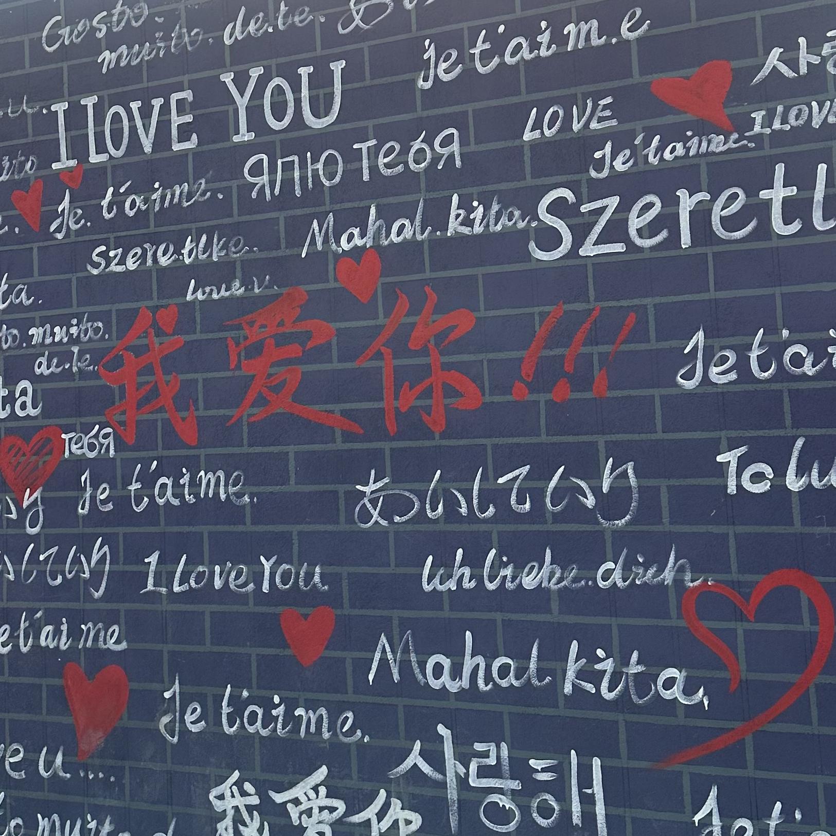 晚风封面