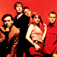 Pulp