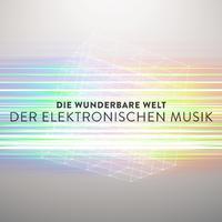 Die Wunderbare Welt Der Elektronischen Musik