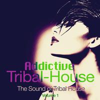 Addictive Tribal House, Vol. 1