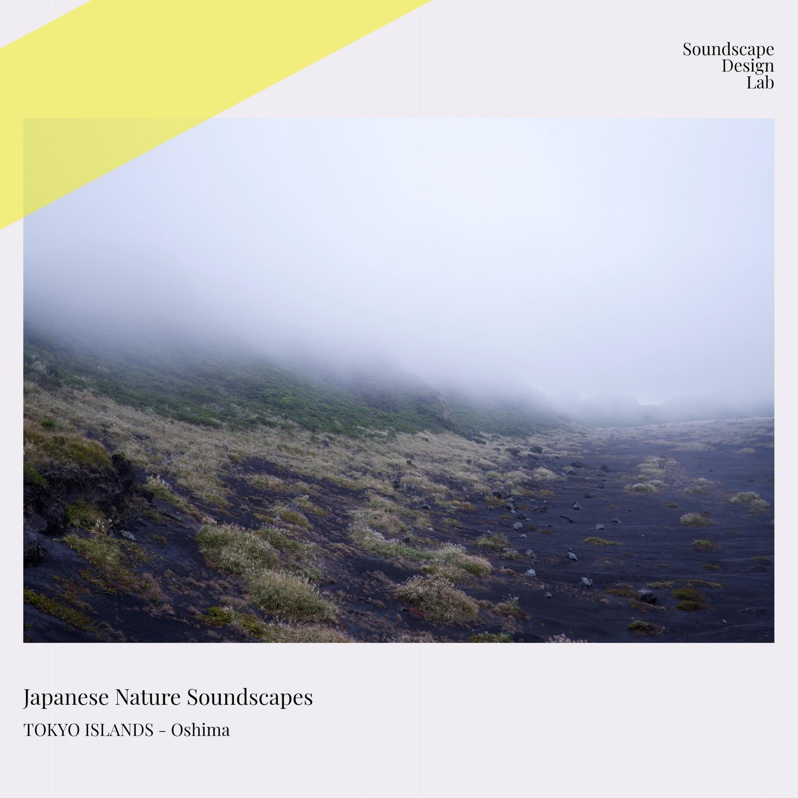 三原山トレイル 1