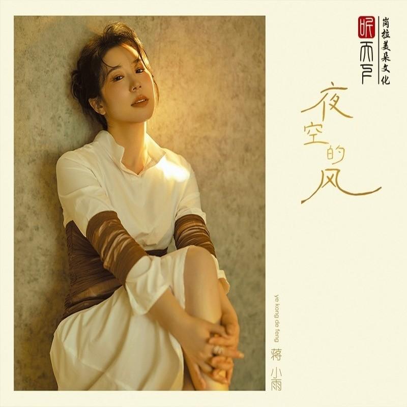 昨夜星辰(DJ版)封面