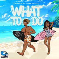 What To Do (feat. Bopadoya & Slimm Dollaz)