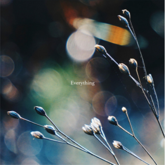 Everything_yutaka hirasaka_Everything | 在线播放_Everything歌词_Everything下载 | 网易云音乐