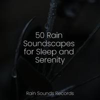 50 Rain Soundscapes for Sleep and Serenity