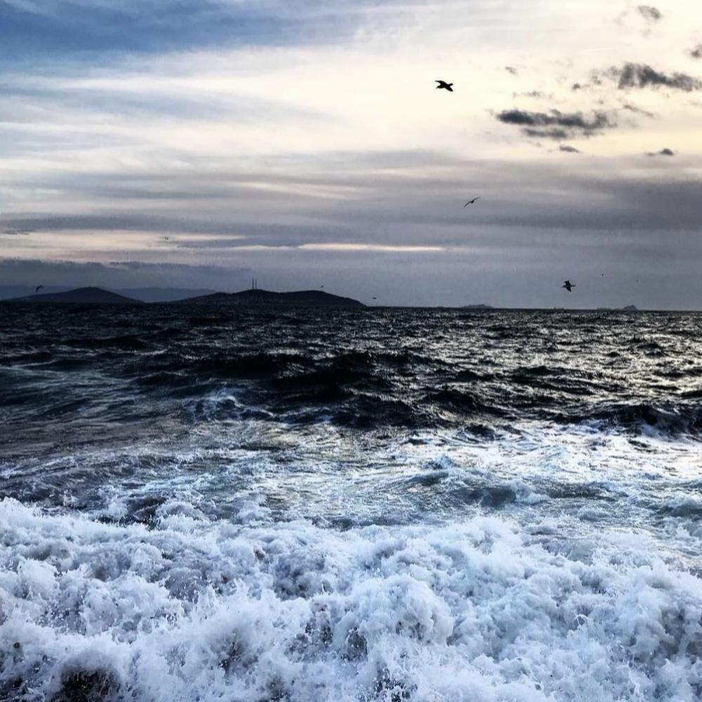 叭叭叭（DJ版）