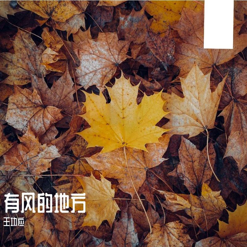 风一样的女子封面