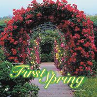 Classical Moods: First Spring (Chopin and More)