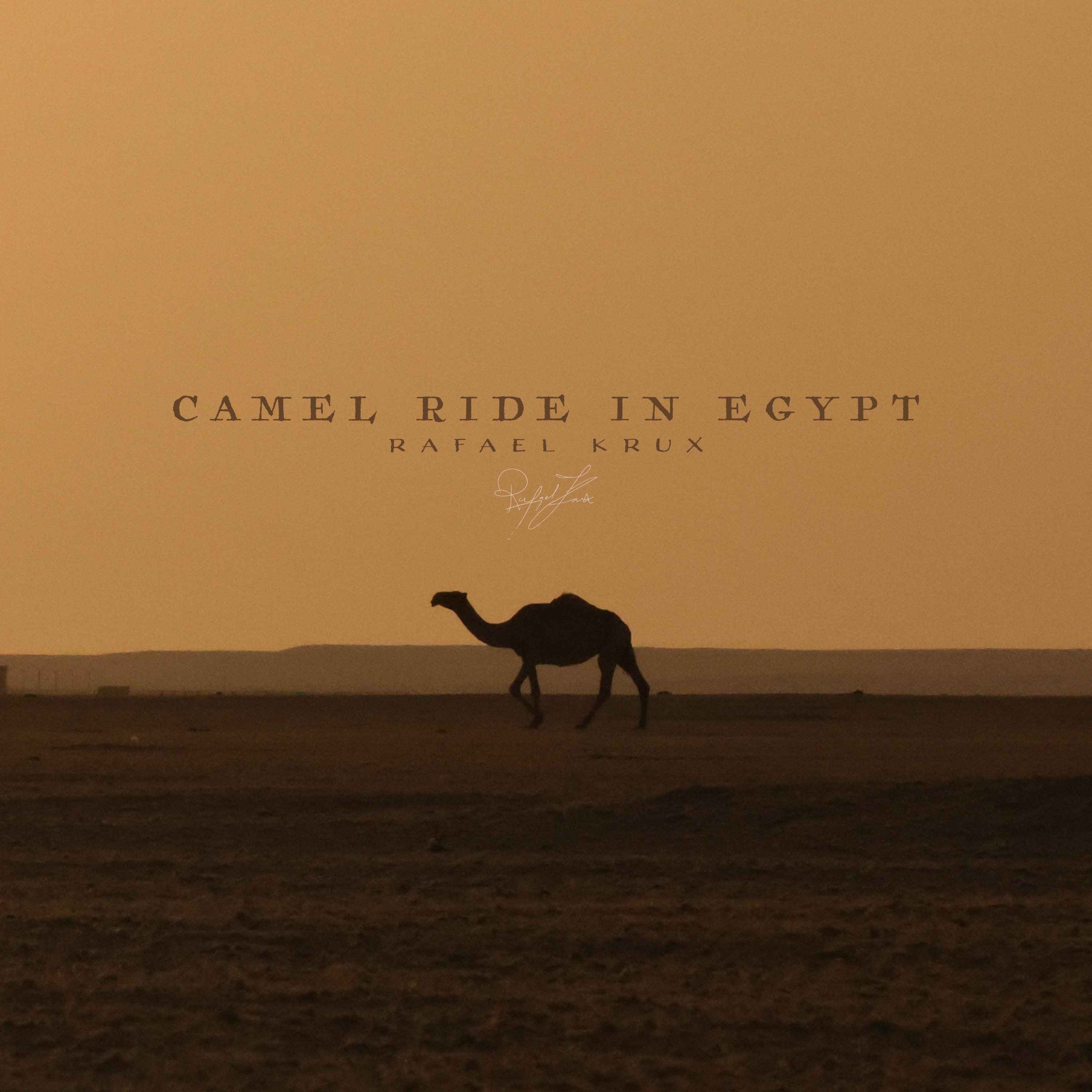 Camel Ride in Egypt