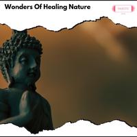 Wonders Of Healing Nature
