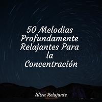 50 Melodías Profundamente Relajantes Para la Concentración