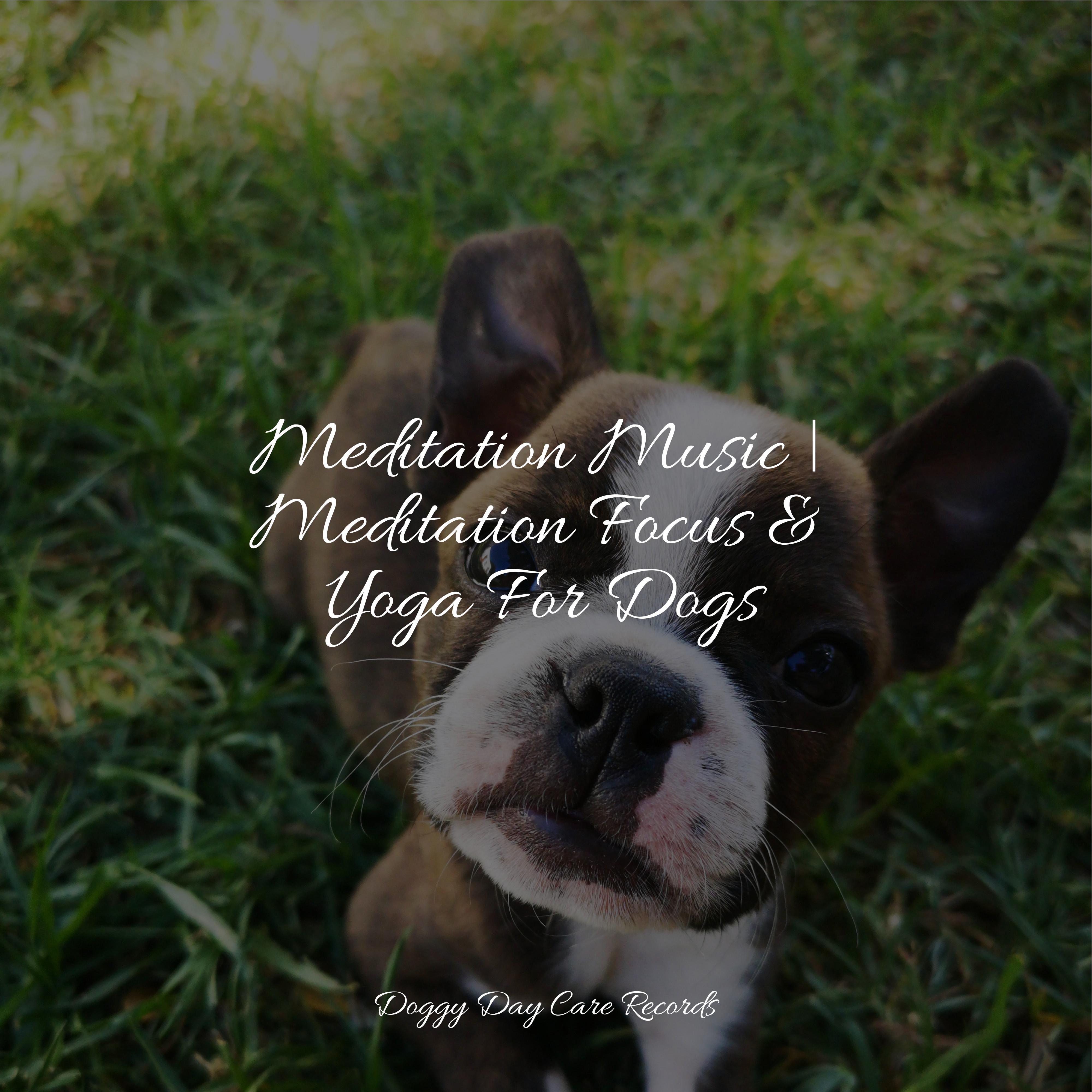 Picture of Deep Breathing - Music for Calming Dogs/Jazz Music Therapy for Dogs ...