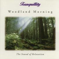 Woodland Morning - The Sound of Relaxation