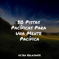 50 Pistas Pacíficas Para Una Mente Pacífica