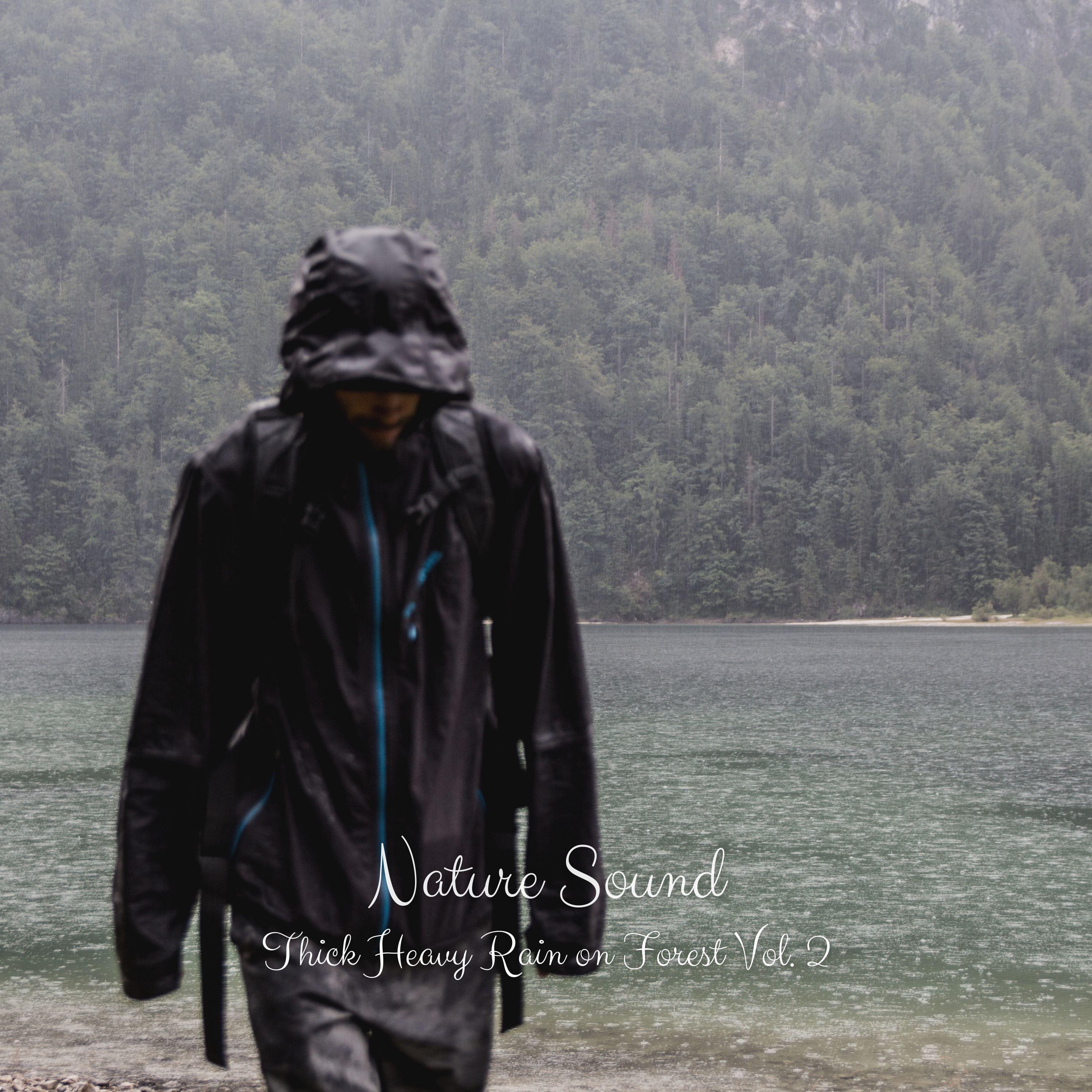 Thunder and Lightning_Nature TV_Nature Sound: Thick Heavy Rain on Forest Vol. 2 | 在线播放_Thunder and Lightning歌词_Thunder and Lightning下载 | 网易云音乐