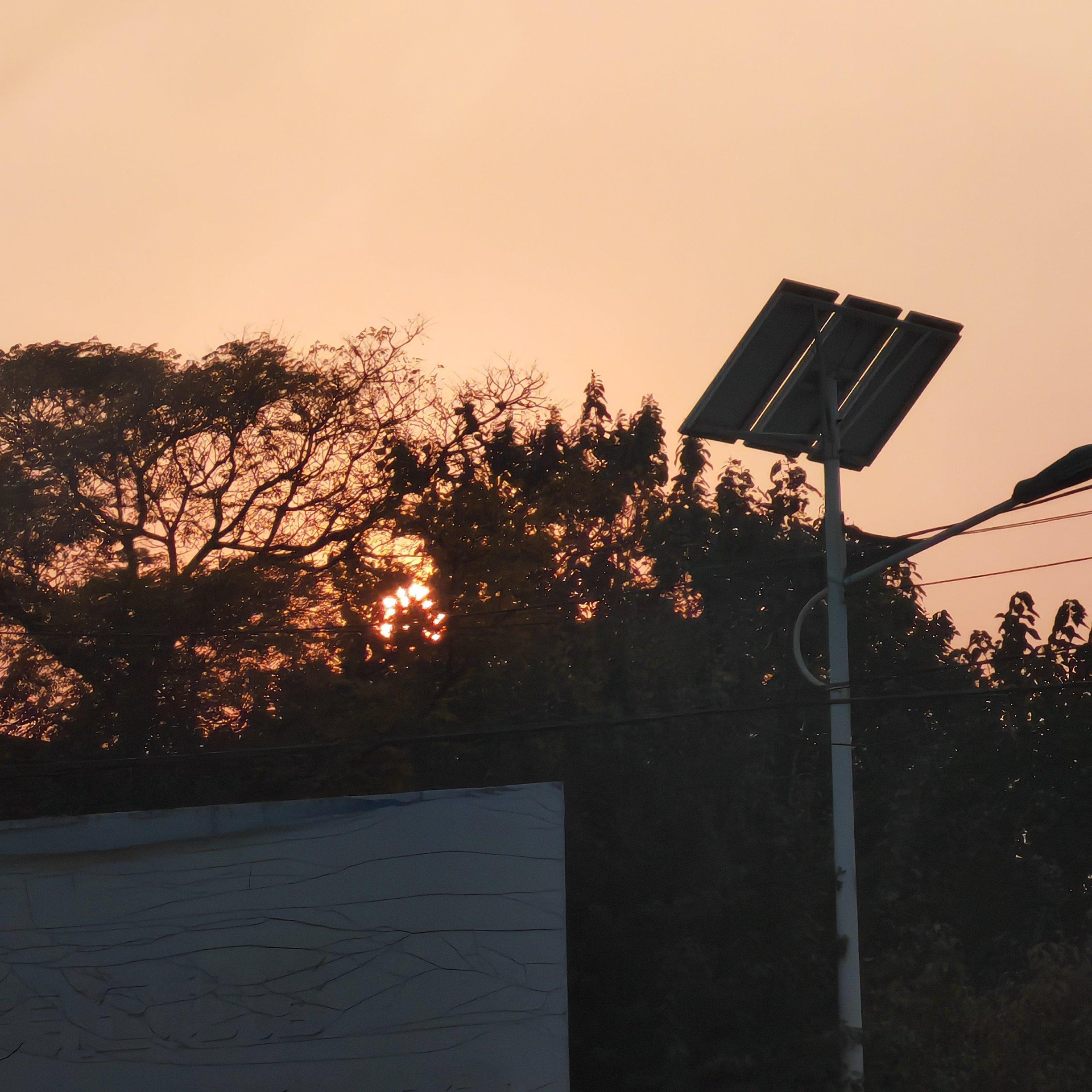 太聪明（cover：yihuik苡慧）