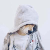 沈乐 - 李小璐-鲸落(Dj阿遣 ProgHouse Mix )(沈乐 remix)