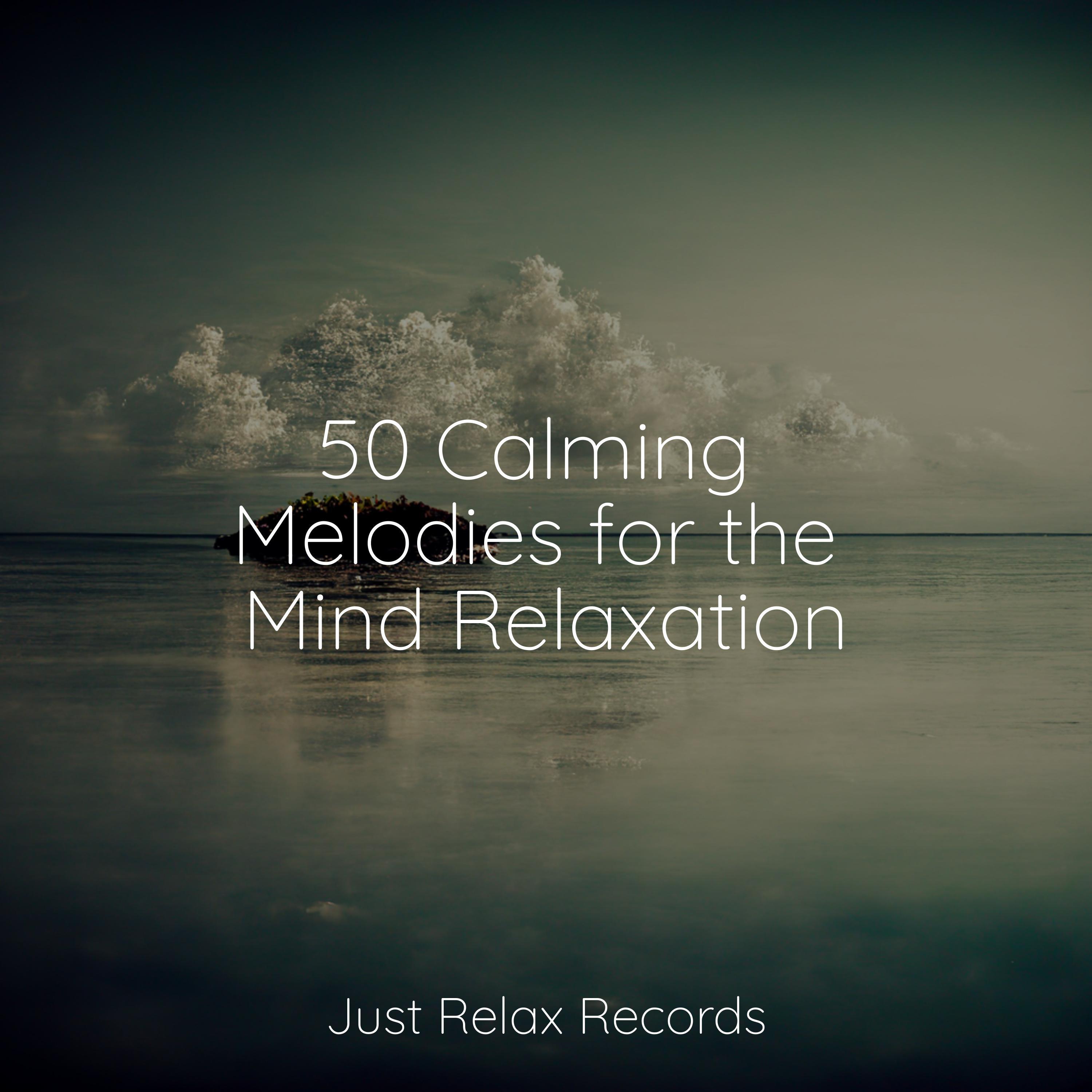 Earthen Rhythms Unleashed Forest Sounds/Shakuhachi Sakano/Musica Para