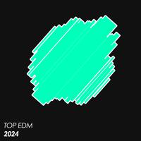 Top EDM 2024