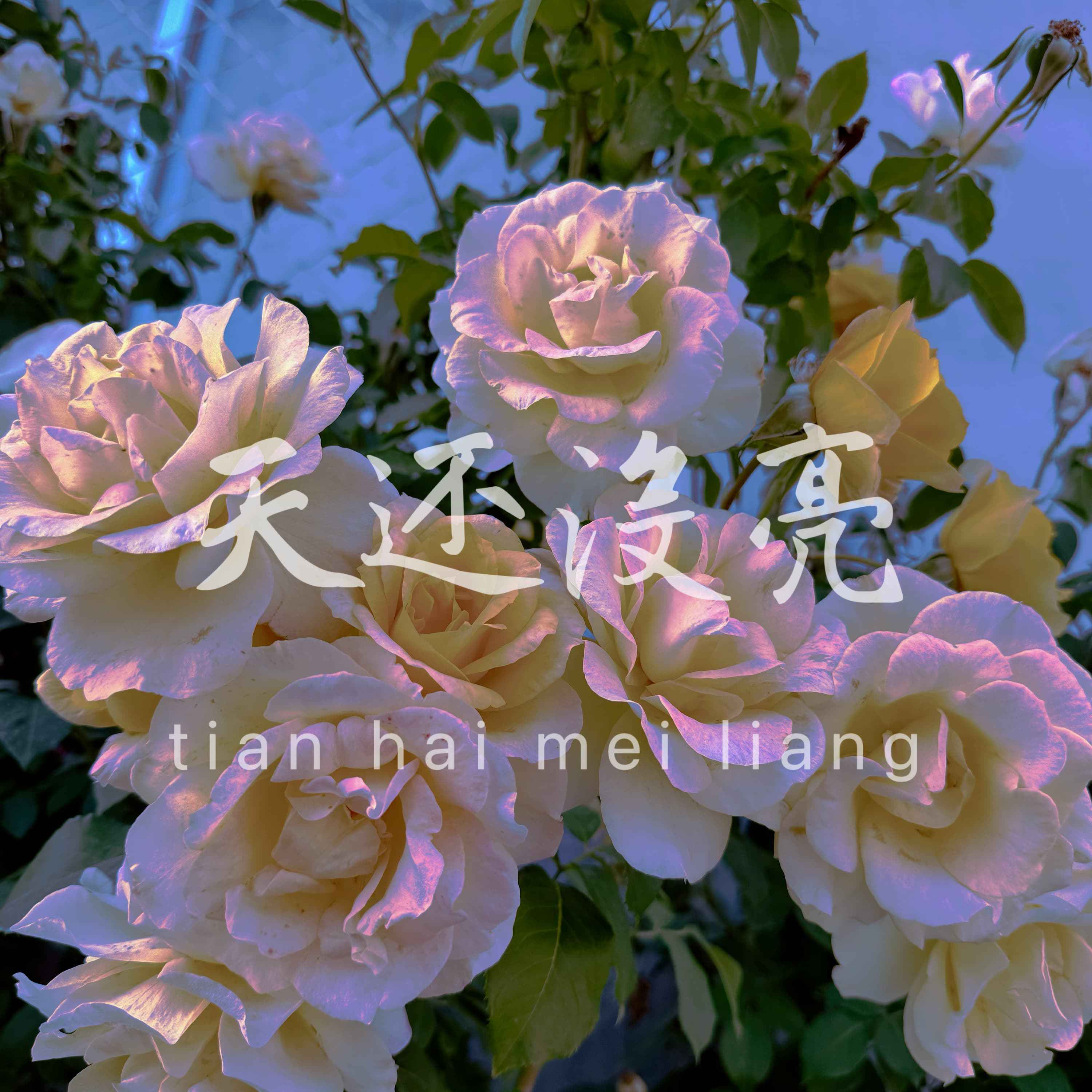 过年的味道 - 呼铸富封面