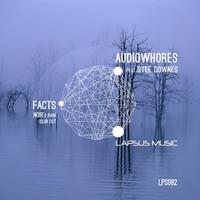 Facts (Noir's Raw Club Cut)